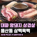 삼백육백 이미지