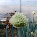 해뜬농장 이미지