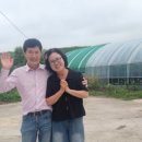 종희목장 네이버블로그