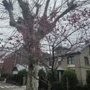 순천기독의원 이미지