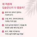 미우대구피우다뷰티 네이버블로그