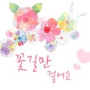 스키푸