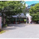 청송외갓집 | 청송 약수거리 맛집 탐방: 원조신촌식당 닭불백숙에 푹 빠졌어요!