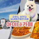 제일애견신 | 강화도 아이나카페 실내애견동반 브런치 대형카페 뷰맛집! 솔직후기