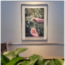 스타벅스 김해주촌DT점 이미지