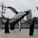 부산해양자연사박물관 이미지