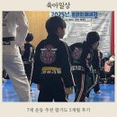 제일 합기도 | 7세 운동 추천 합기도 5개월 보내본 찐후기