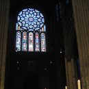 대머리민박 | 06. 돌로 된 성서, 샤르트르 대성당