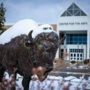 뉴욕 주립대학교, 버팔로 캠퍼스 - University at Buffalo, SUNY 이미지