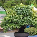 불갑사 관광안내소 이미지