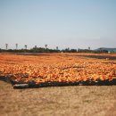 주홍목장 이미지