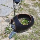 사천갑부공인중개사사무소 이미지