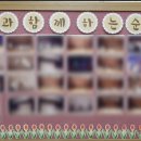 용인대자운태권도 이미지
