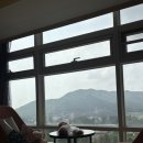 Le Studio Bleu(르스튜디오블루) | 1박 2일 예산 여행, 2일차 _ 스플라스라솜 르스튜디오블루카페|홍북식당|소란서림|벚꽃언덕|장독대추어탕
