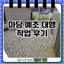 남양주 마당 예초 대행 작업 후기