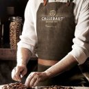 beanology(빈올로지)