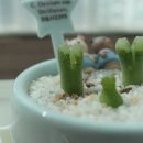 H2298 네이버블로그