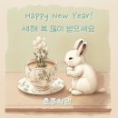 동정보이차 네이버블로그