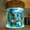 우드 스토리 이미지