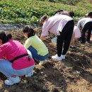 대청호반 사회적협동조합 이미지