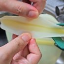 한끼 한컵 | [주방정리템] 락앤락 바로한끼 실리콘 지퍼백 컵형 후기: 외출·캠핑 필수 육아꿀템!