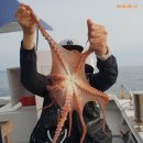 이글스호
