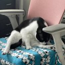 오늘은 그루밍 이미지