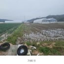 대지영농 암산농장 | 온비드 공매 세 번째 낙찰 후기ㅣbut...