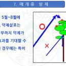 소나무병원 이미지