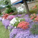 죽관메원 이미지