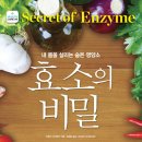 효소지음 이미지