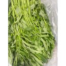 야채나라 이미지