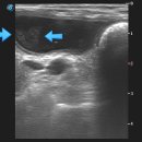 어울동물의료센터 이미지