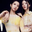로지트리 이미지