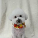 멍더랜드 이미지