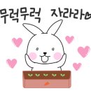 스타솔루션 이미지