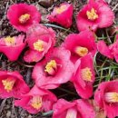 뜻밖의 하루 이미지