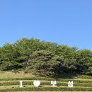 🌿 [2025 보성다향대축제] 초록빛 차밭에서 즐기는 오감만족 힐링 여행기! 🌿