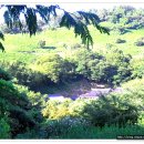 무등산약국 이미지