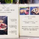 더피올라 이미지