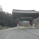 불회사 티스토리