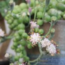 대박나세요 이미지