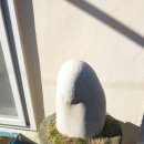 바다목장민박 이미지