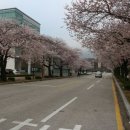 목포대학교골프연습장 네이버블로그