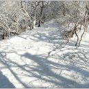 제207차 정기 산행 [ 2016년 1월 17일 ] : 광양 " 백운산 " 이미지