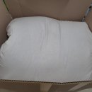 잉꼬수선