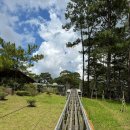 루미에르베이커리 이미지