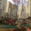 고덕월드공인중개사사무소 매일경제