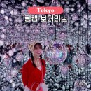 우주인터넷프라자 | 팀랩 보더리스 도쿄 실내놀거리 제니도 다녀간 미디어아트 전시회