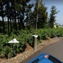 세림부동산공인중개사사무소 이미지